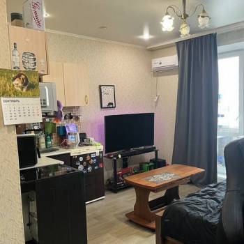 Продается 1-комнатная квартира, 22,9 м²