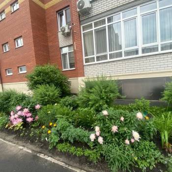 Сдается 2-х комнатная квартира, 69,6 м²