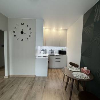 Сдается 1-комнатная квартира, 30,7 м²