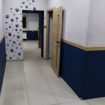 Сдается Нежилое помещение, 54 м²