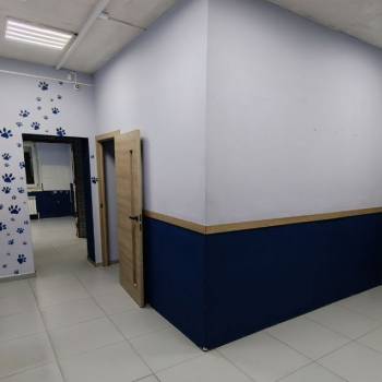 Сдается Нежилое помещение, 54 м²