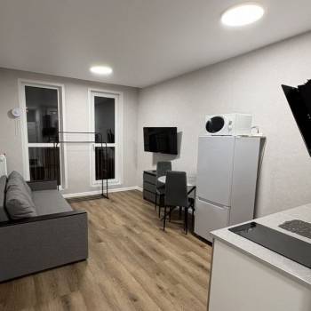 Сдается 1-комнатная квартира, 25,5 м²