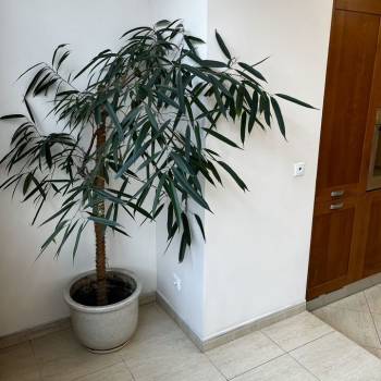 Сдается Многокомнатная квартира, 118 м²
