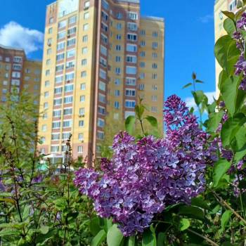 Продается 1-комнатная квартира, 44 м²
