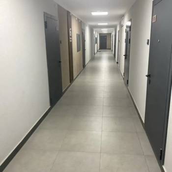 Сдается 1-комнатная квартира, 25,1 м²