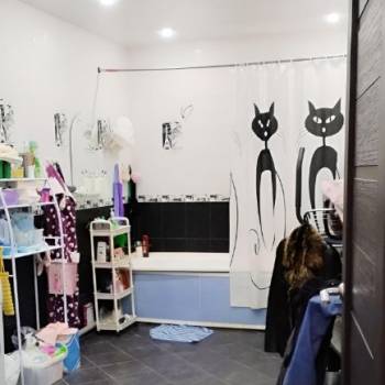 Продается 1-комнатная квартира, 54,7 м²