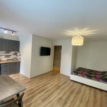 Сдается 1-комнатная квартира, 33 м²
