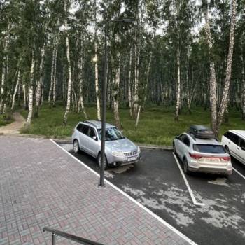 Сдается 1-комнатная квартира, 54 м²