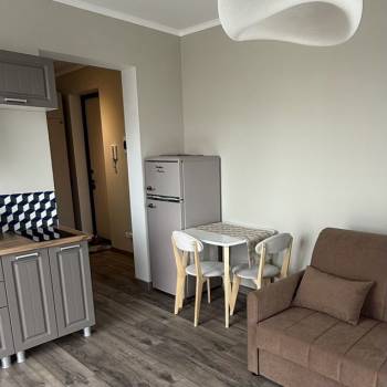 Сдается 1-комнатная квартира, 24,5 м²