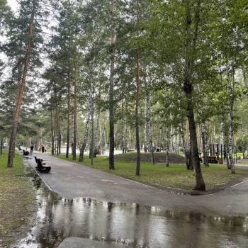 Сдается 1-комнатная квартира, 32,9 м²