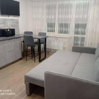 Сдается 1-комнатная квартира, 28,7 м²