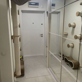 Сдается 2-х комнатная квартира, 55,8 м²