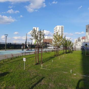 Продается 1-комнатная квартира, 31,1 м²