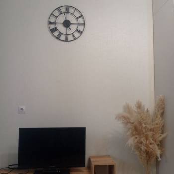 Сдается 1-комнатная квартира, 21,8 м²