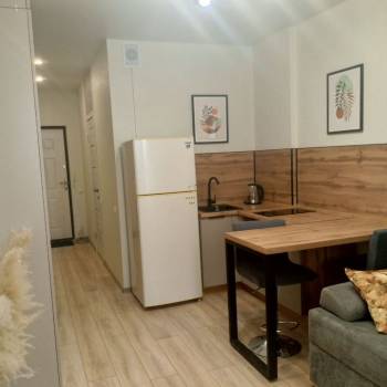 Сдается 1-комнатная квартира, 21,8 м²