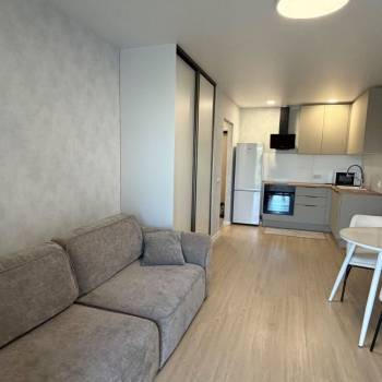 Сдается 1-комнатная квартира, 31,8 м²