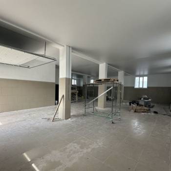 Сдается Нежилое помещение, 255 м²
