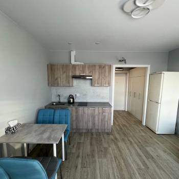 Сдается 1-комнатная квартира, 24 м²