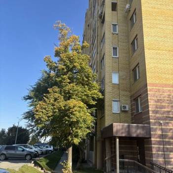 Сдается Нежилое помещение, 60 м²
