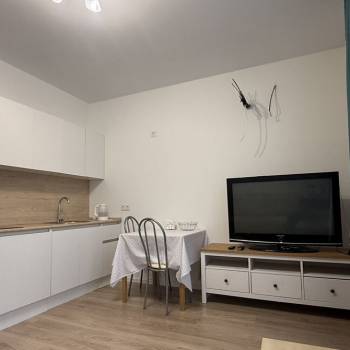 Сдается 1-комнатная квартира, 22 м²