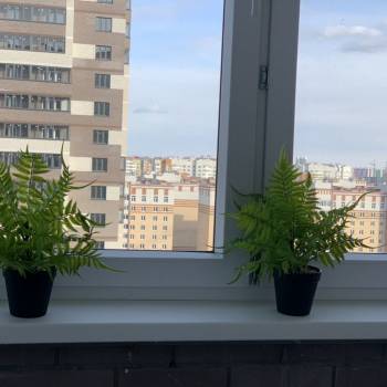 Сдается 1-комнатная квартира, 29,4 м²