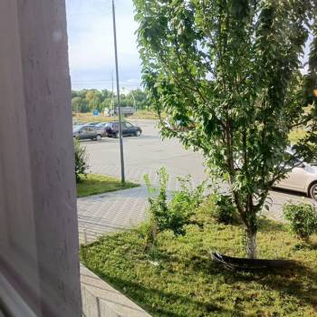 Продается Нежилое помещение, 83,5 м²