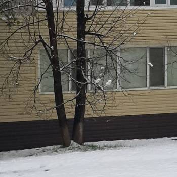 Сдается Комната, 18 м²