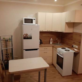 Сдается 1-комнатная квартира, 23,9 м²