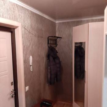 Сдается 1-комнатная квартира, 23,9 м²