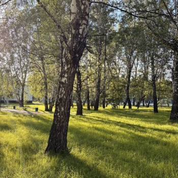 Продается 3-х комнатная квартира, 116,5 м²