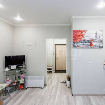 Сдается 1-комнатная квартира, 24 м²