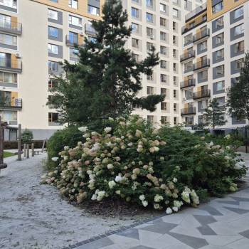 Продается 1-комнатная квартира, 30,6 м²