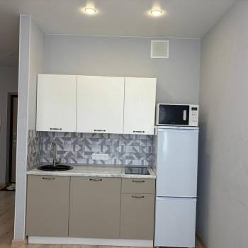 Сдается 1-комнатная квартира, 24,5 м²
