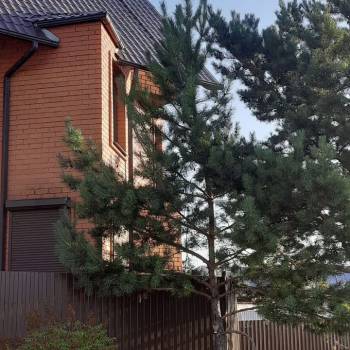 Сдается Многокомнатная квартира, 105 м²